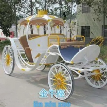 Made in MLHChina Electric Carriage Sightseeing Car