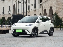 2023 New Energy Electric Vehicle Seagull Free Edition Used Car