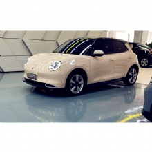 Cute and Small ORA Good Car 2021 400km Muse Edition for Ladies YRF Used Car