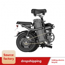 Newest Foldable High Speed Powerful Motor Electric Bicycle Price Best Electric Mountain Bikes