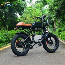 Fashion and Cute Full Suspension EBike YRF Electric Bike