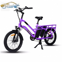 Practical Light Duty 48V30ah Dual Battery Takeaway Meal Delivery Vehicle Electric Moped