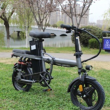 Multifunctional Electric Folding Bicycle Stainless Steel Frame Electronic Brake 14 Inch Portable