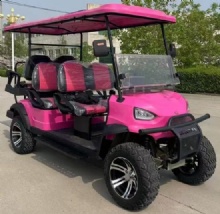 Electric multifunctional golf cart 6-seater luxury golf cart