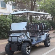 Electric multifunctional golf cart 6-seater luxury golf cart