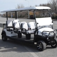 6-seater electric golf cart sightseeing/resort/hotel golf cart