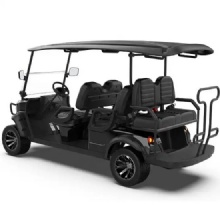 2023 New Golf Cart Automotive Grade Core Components Stylish Customized Electric Golf Cart