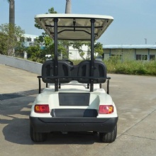 Multifunctional 6-Passenger Electric Golf Cart