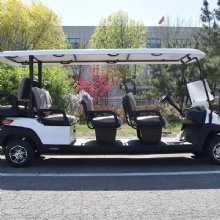 Factory Price High Quality Electric Golf Cart