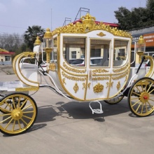 For Sale MLHLuxury Electric Horse Trailer Royal Carriage