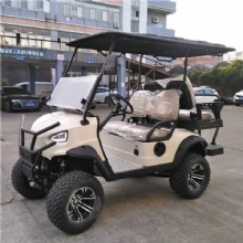 Luxury Golf Cart New Design Multifunctional Electric Golf Cart