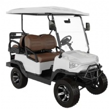 2023 China New Design Golf Cart Electric Golf Cart