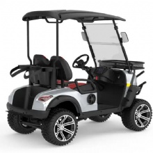 New affordable off-road 2-seater luxury sightseeing car electric golf cart