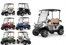 New affordable off-road 2-seater luxury sightseeing car electric golf cart