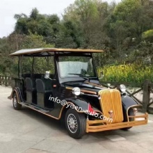 8-Seat Guest Reception Car, High-Quality Electric Classic Car