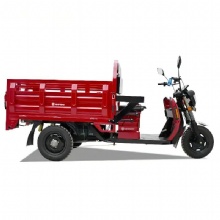 2024 Hot Selling Low Price and EEC High Quality Electric Tricycle