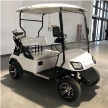 Customizable 2-Seater Latest Model Electric Golf Cart