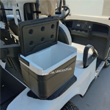 Specially customized golf cart with on-board ball washer and stem washer with refrigerator 2-seat electric golf cart