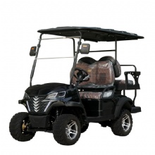 2024 New Farm Resort Hotel New Electric Golf Cart