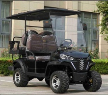 2024 New Farm Resort Hotel New Electric Golf Cart