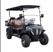 2024 6-seater golf carts for holiday sightseeing