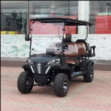 2024 6-seater golf carts for holiday sightseeing