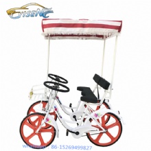 Hotel Airport scenic four-wheel electric bicycle lovers beach tour pedal sightseeing car