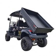 2024 New Design Electric Golf Cart with Cargo Box Buggy