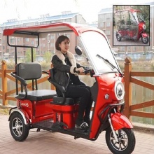 Low PriceMLH three Wheel Recreational Utility Vehicle Mini Electric Car