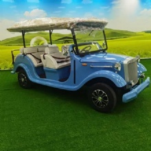 Top Supplier Luxury Electric Vintage Sightseeing Bus Golf Cart