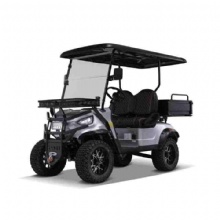 4-колесный 2-местный электрический гольф-кар с грузовым отсеком Cargo Golf Car