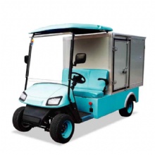 High Performance Street Legal Off Road Electric Golf Cart with Cargo Box