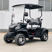 Two-wheel drive 2024 Best Selling High Quality 4 Wheel Golf Cart 2 Seat Golf Cart Bestseller